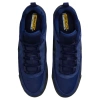 Nike Air Max Ishod Поддержка Скейтбординг Мужские Синие Кроссовки