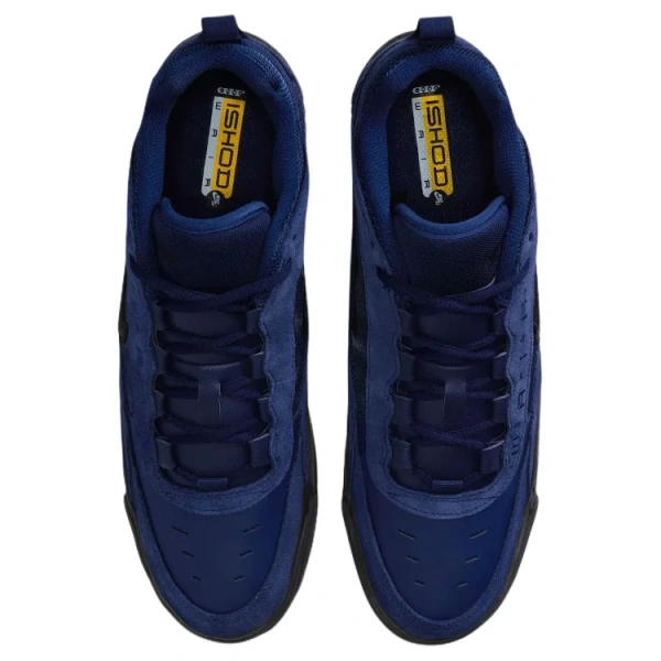 Nike Air Max Ishod Поддержка Скейтбординг Мужские Синие Кроссовки