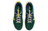 Nike Juniper Trail 2 Low Топ Беговые кроссовки Мужской Зеленый