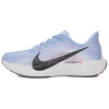 Nike Pegasus Plus Комфортные Низкие Беговые Кроссовки Женские Синие
