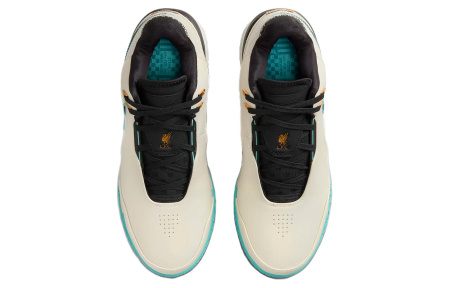 Nike LeBron NXXT Gen AMPD EP Low Топ Баскетбольные кроссовки Мужской Умбра Синий Черный Азиатская версия