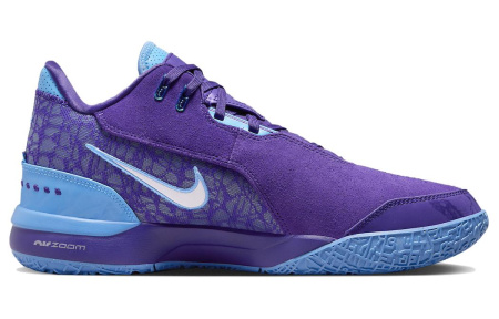 Nike LeBron NXXT Gen 'SUMMIT Озеро Hornets' Удобный Круглый Палец Противоскользящий Устойчивый к Износу Низкий Топ