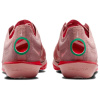 Nike Устойчивые к истиранию Дышащая Поддержка Низкий Верх Повседневные Беговые Кроссовки Мужские Розовые