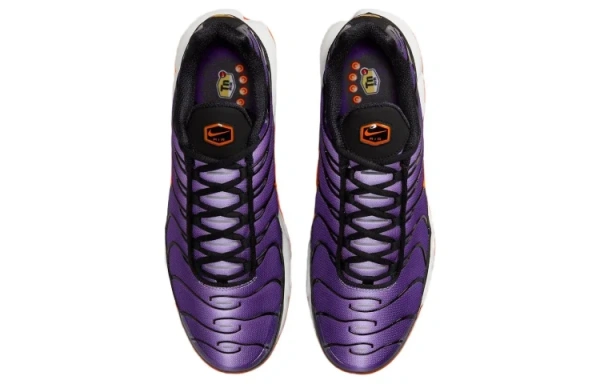 Nike Air Max Plus Low Top Повседневная обувь Мужская Фиолетовая Черная