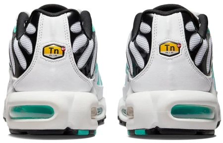 Nike Air Max Plus Сетка Низкие Беговые Кроссовки Мужские Белые Синие Черные
